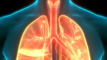 Óleos Essenciais para Bronquite
