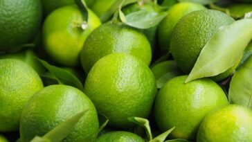 Óleo Essencial de Mandarina Verde