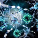 Óleos Essenciais para Distúrbio Autoimune