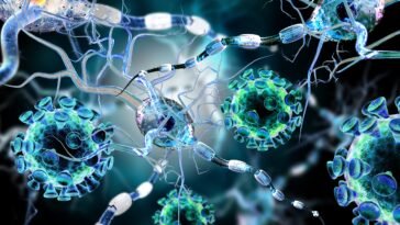 Óleos Essenciais para Distúrbio Autoimune