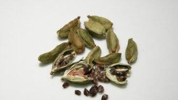 óleo essencial de cardamomo
