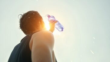 óleos essenciais para insolação