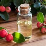 Óleo Essencial de Wintergreen