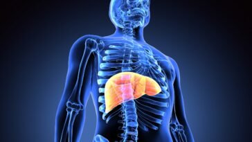 Óleos Essenciais para Hepatite