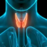 Óleos Essenciais para Hipertireoidismo