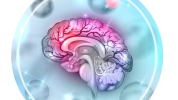 Óleos Essenciais para Meningite