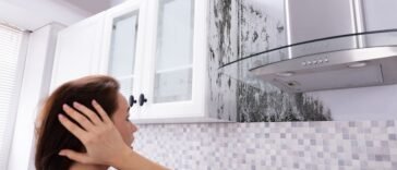 Óleos Essenciais para Mofo