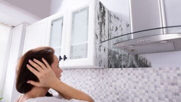 Óleos Essenciais para Mofo