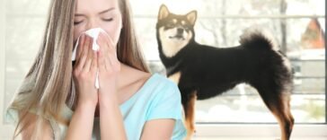 Óleos Essenciais para Alergia a Pets