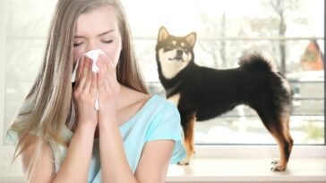 Óleos Essenciais para Alergia a Pets
