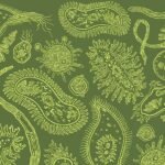 Óleos Essenciais para Parasitas