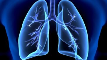 Óleos Essenciais para Pneumonia