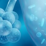 Óleos Essenciais para Infecção por estafilococos