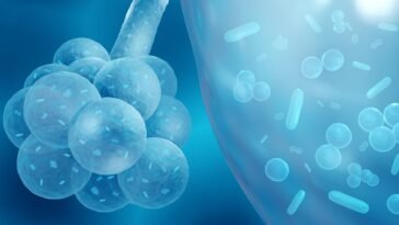 Óleos Essenciais para Infecção por estafilococos