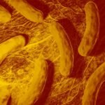 Óleos Essenciais para Cólera