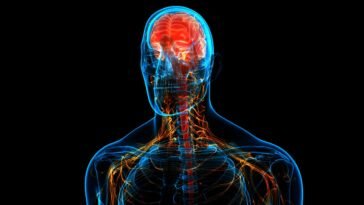 Óleos Essenciais para Lesão Cerebral