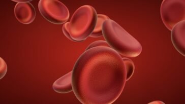 Óleos Essenciais para Má Circulação do Sangue