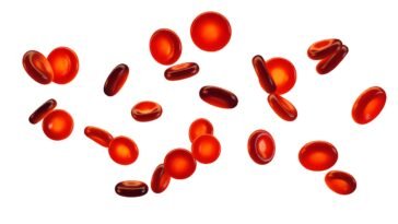 Óleos Essenciais para Hemofilia