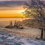 Óleos Essenciais para Queimadura por Frio