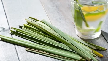 óleo essencial de capim-limão