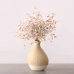 minimalismo e saúde