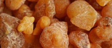 óleo essencial de olíbano