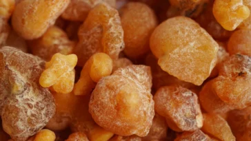 óleo essencial de olíbano